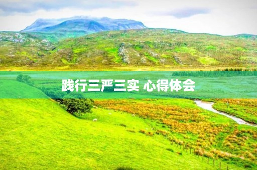 践行三严三实 心得体会