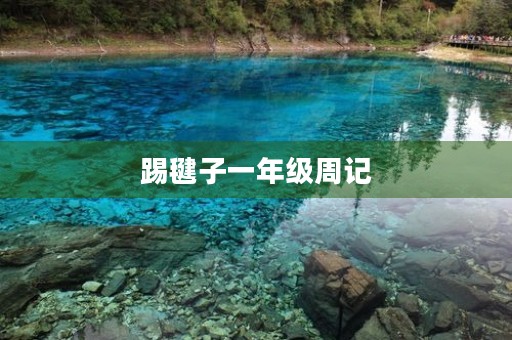 踢毽子一年级周记