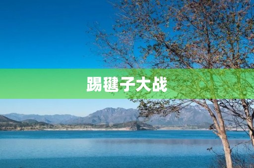 踢毽子大战 踢毽子大战