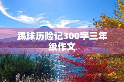 踢球历险记300字三年级作文