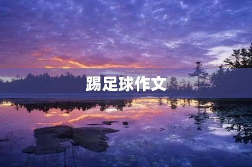踢足球作文