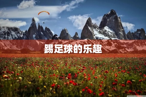 踢足球的乐趣 踢足球的乐趣