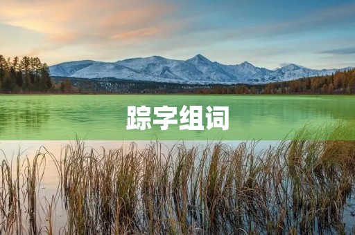 踪字组词(踪组词) 踪字组词(踪组词)