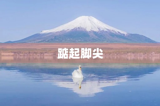 踮起脚尖，体验身体的极限