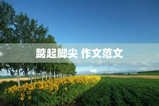 踮起脚尖 作文范文 踮起脚尖 作文范文