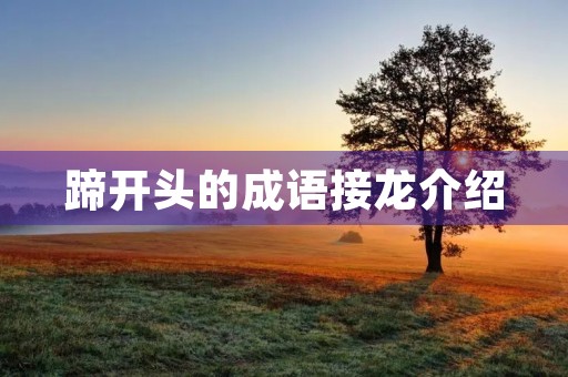 蹄开头的成语接龙介绍