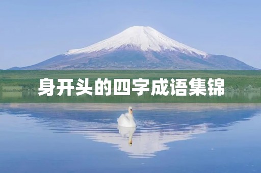 身开头的四字成语集锦