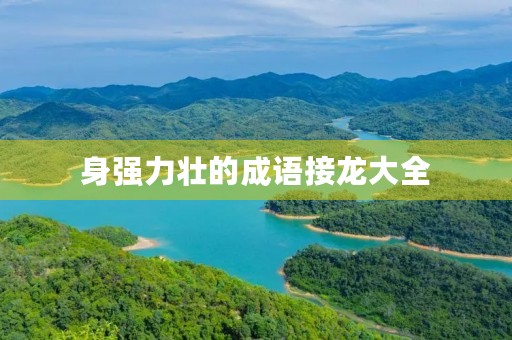 身强力壮的成语接龙大全