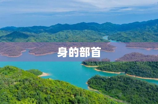 身的部首(身组词)