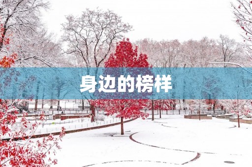 身边的榜样