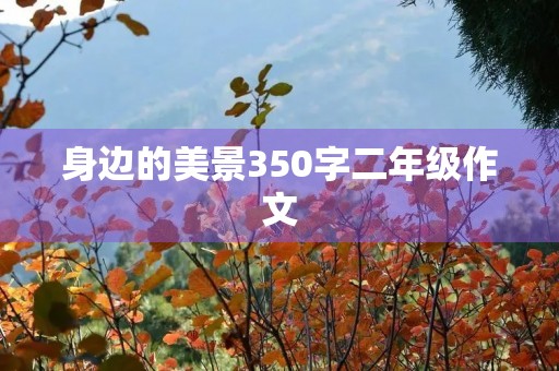 身边的美景350字二年级作文