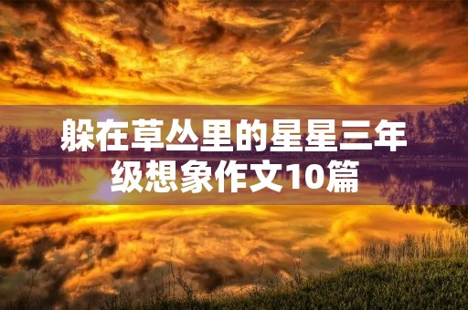 躲在草丛里的星星三年级想象作文10篇