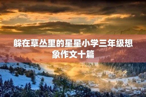 躲在草丛里的星星小学三年级想象作文十篇