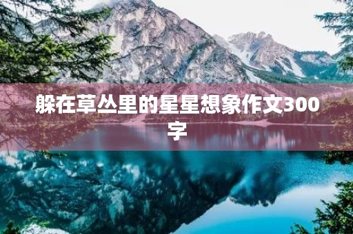 躲在草丛里的星星想象作文300字 躲在草丛里的星星想象作文300字