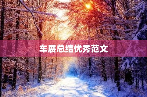 车展总结优秀范文