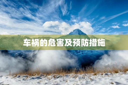 车祸的危害及预防措施