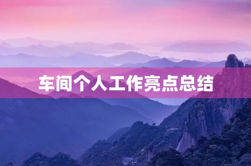 车间个人工作亮点总结