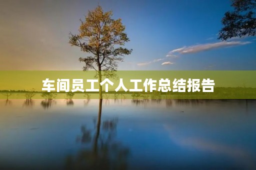 车间员工个人工作总结报告