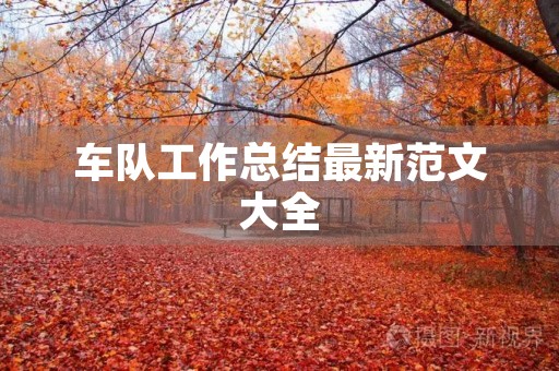 车队工作总结最新范文大全