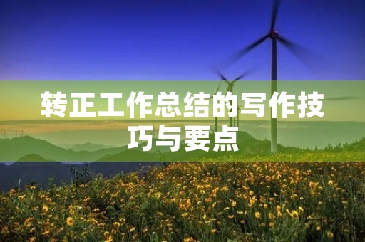 转正工作总结的写作技巧与要点