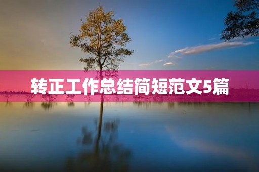 转正工作总结简短范文5篇