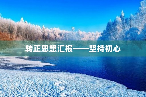 转正思想汇报——坚持初心，追求卓越