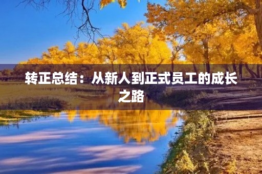 转正总结:从新人到正式员工的成长之路 转正总结:从新人到正式员工的成长之路