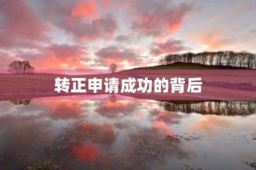 转正申请成功的背后 转正申请成功的背后