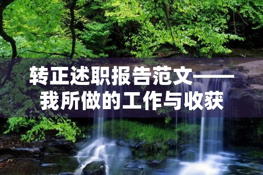 转正述职报告范文——我所做的工作与收获