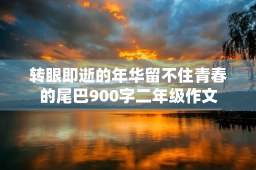 转眼即逝的年华留不住青春的尾巴900字二年级作文