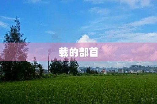 载的部首(载的部首)