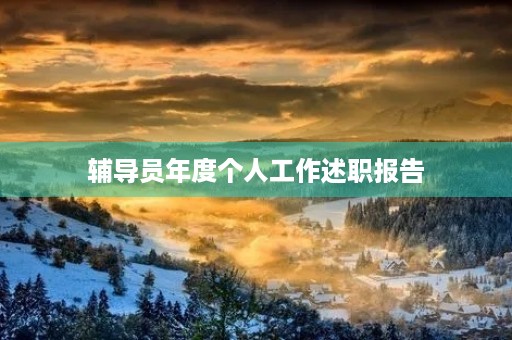 辅导员年度个人工作述职报告 辅导员年度个人工作述职报告
