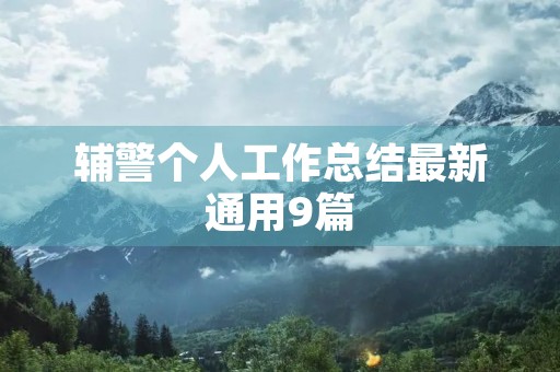 辅警个人工作总结最新通用9篇