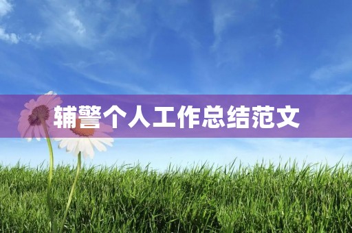 辅警个人工作总结范文