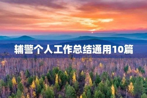 辅警个人工作总结通用10篇