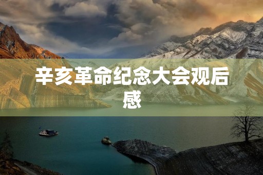 辛亥革命纪念大会观后感 辛亥革命纪念大会观后感