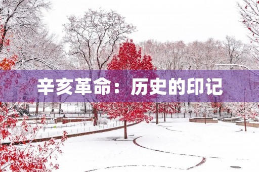 辛亥革命：历史的印记