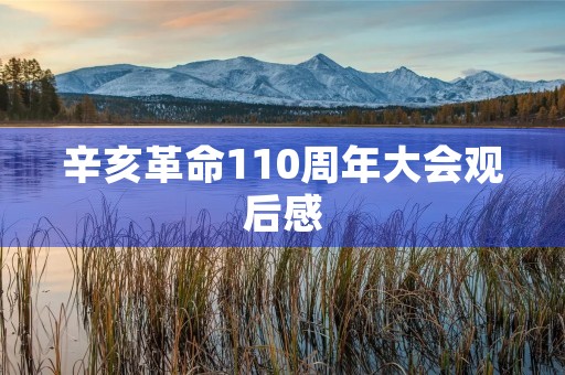 辛亥革命110周年大会观后感 辛亥革命110周年大会观后感