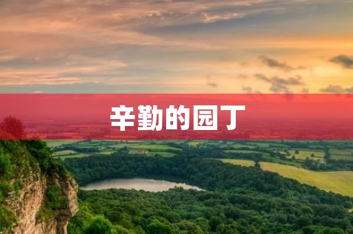 辛勤的园丁