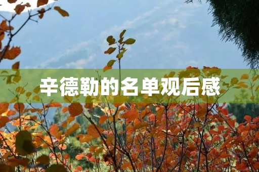 辛德勒的名单观后感
