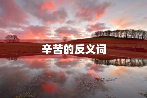 辛苦的反义词(辛苦的反义词) 辛苦的反义词(辛苦的反义词)