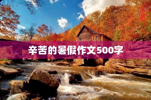 辛苦的暑假作文500字 辛苦的暑假作文500字