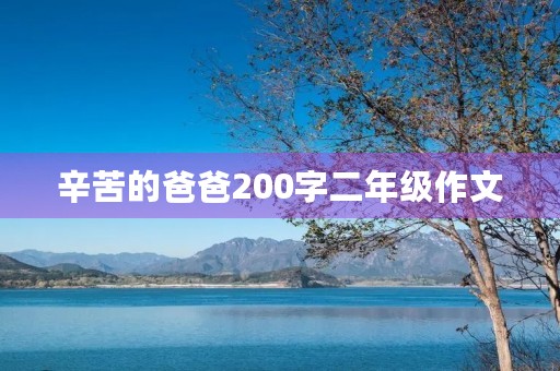 辛苦的爸爸200字二年级作文