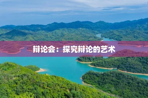 辩论会：探究辩论的艺术