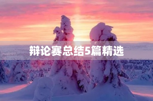 辩论赛总结5篇精选