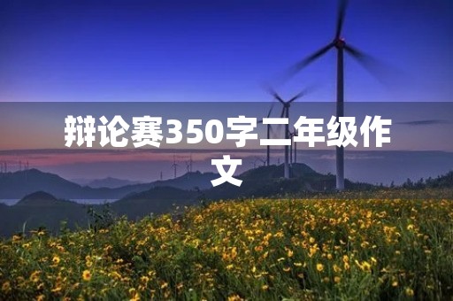辩论赛350字二年级作文