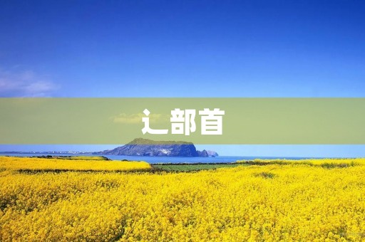 辶部首(走之旁的字有什么字)
