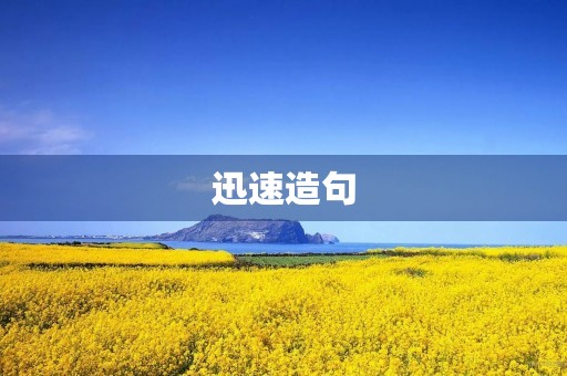 迅速造句(迅速)