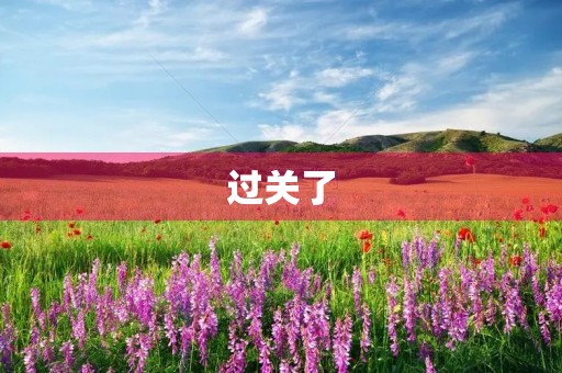 过关了 过关了