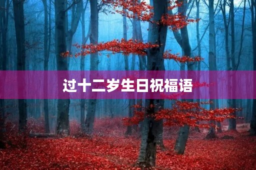 过十二岁生日祝福语,12岁生日简短大气语句